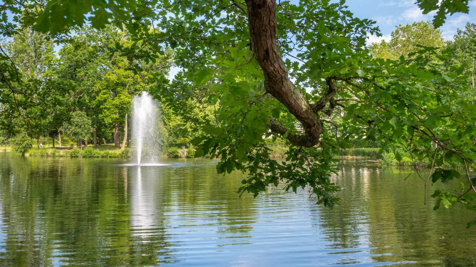 Lac au cœur du parc des Ibis au Vésinet, entouré d’arbres et offrant un cadre naturel exceptionnel.