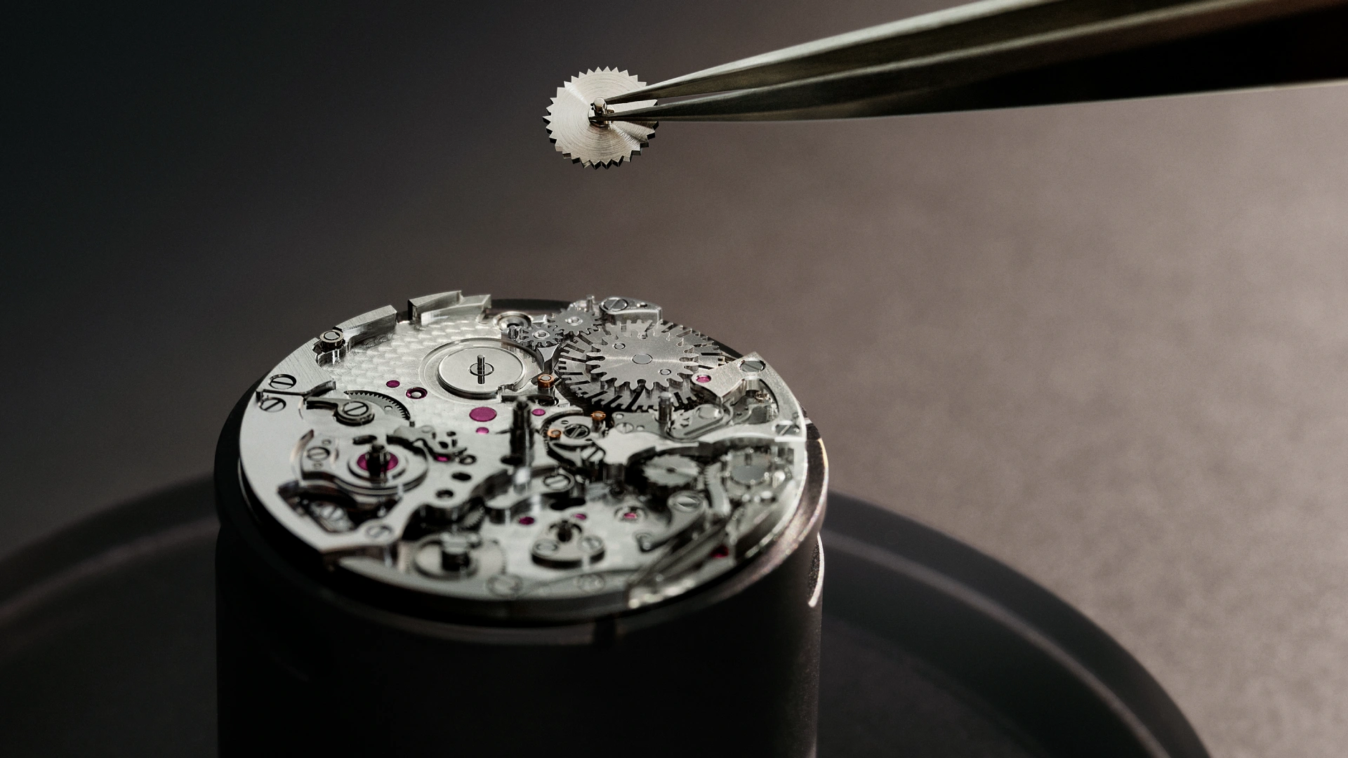 exceptional luxury watchmaking