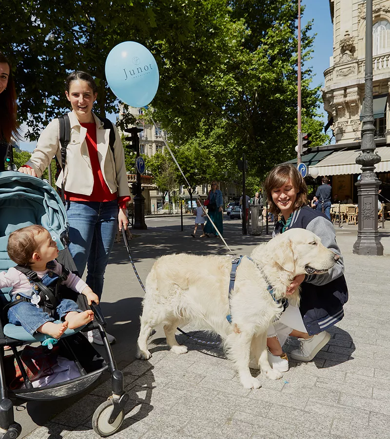 Consultants Junot en street marketing